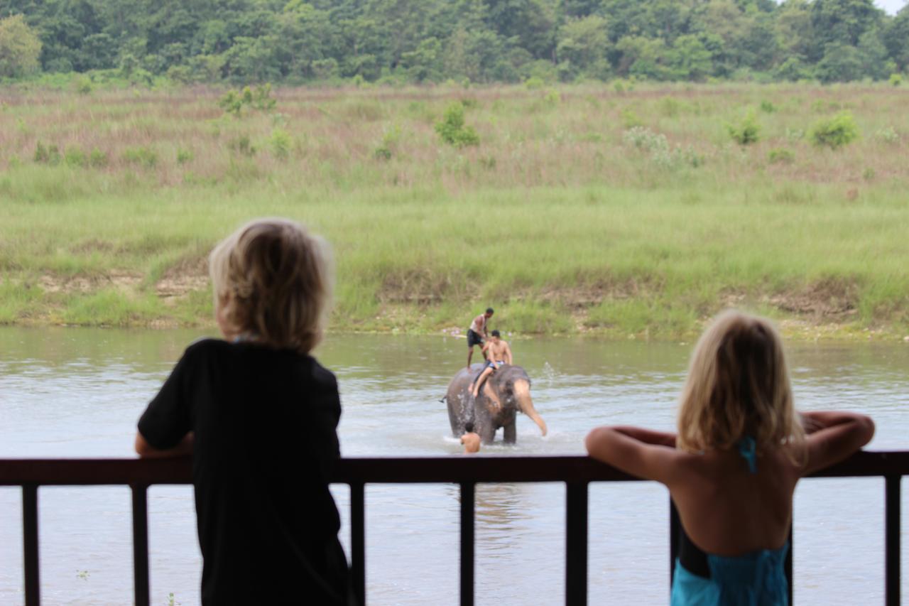 Jungle Sunset Camp Hotel Sauraha Exterior photo