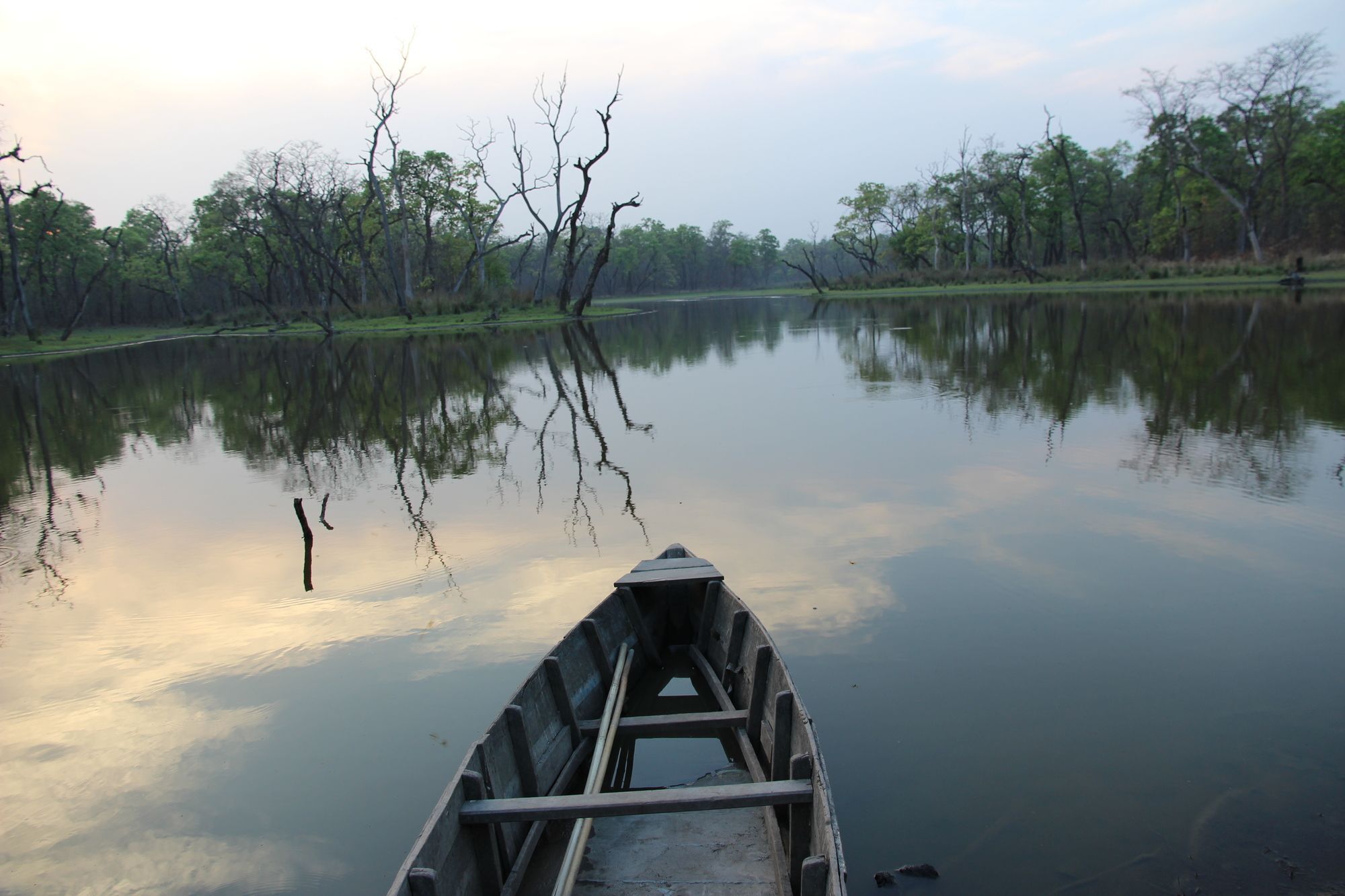 Jungle Sunset Camp Hotel Sauraha Exterior photo