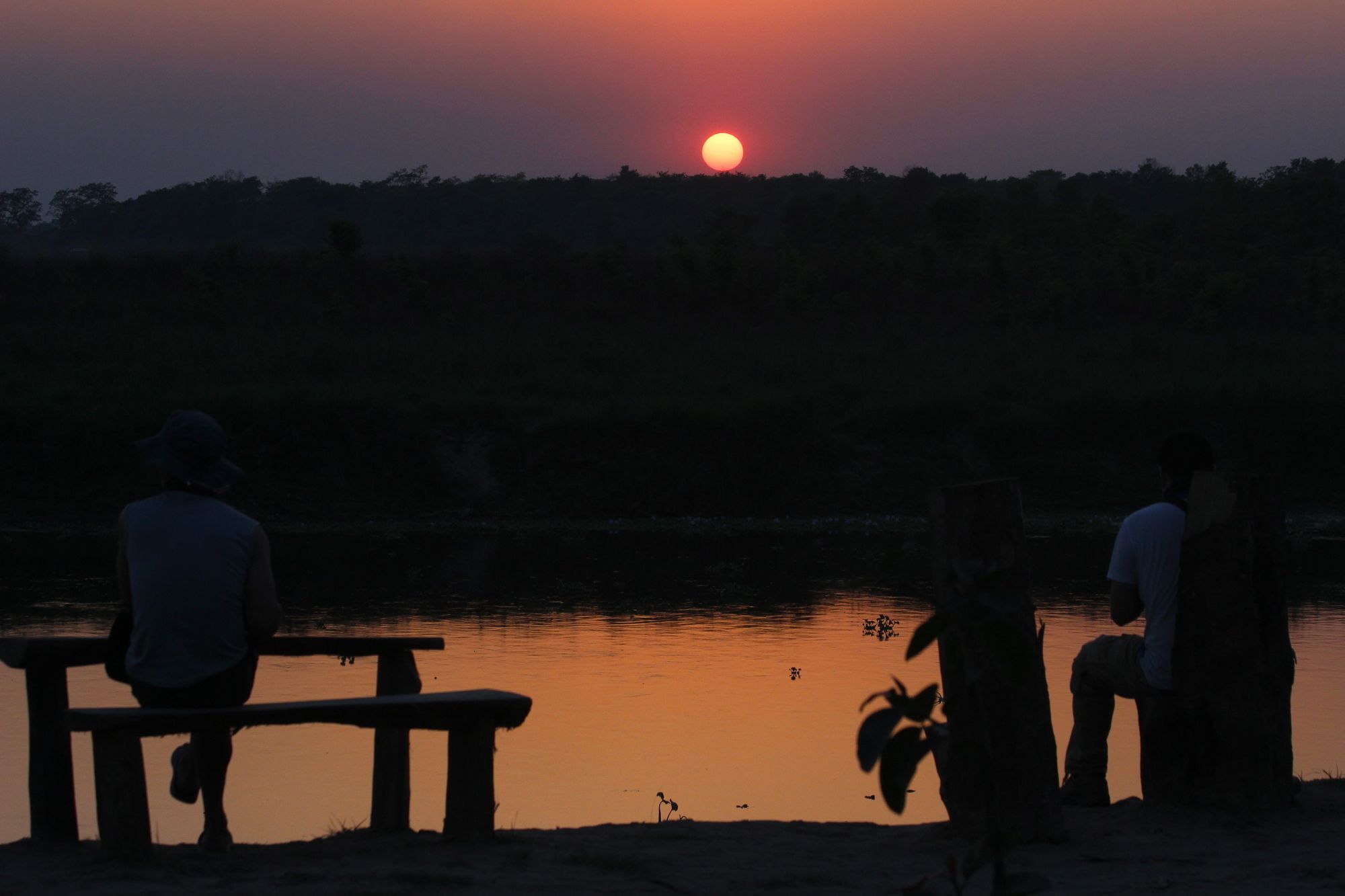 Jungle Sunset Camp Hotel Sauraha Exterior photo