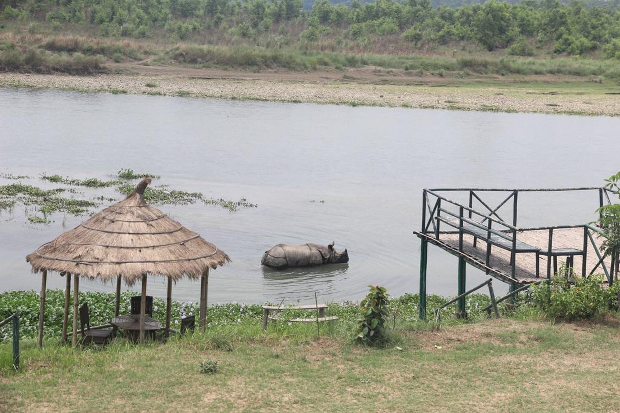 Jungle Sunset Camp Hotel Sauraha Exterior photo