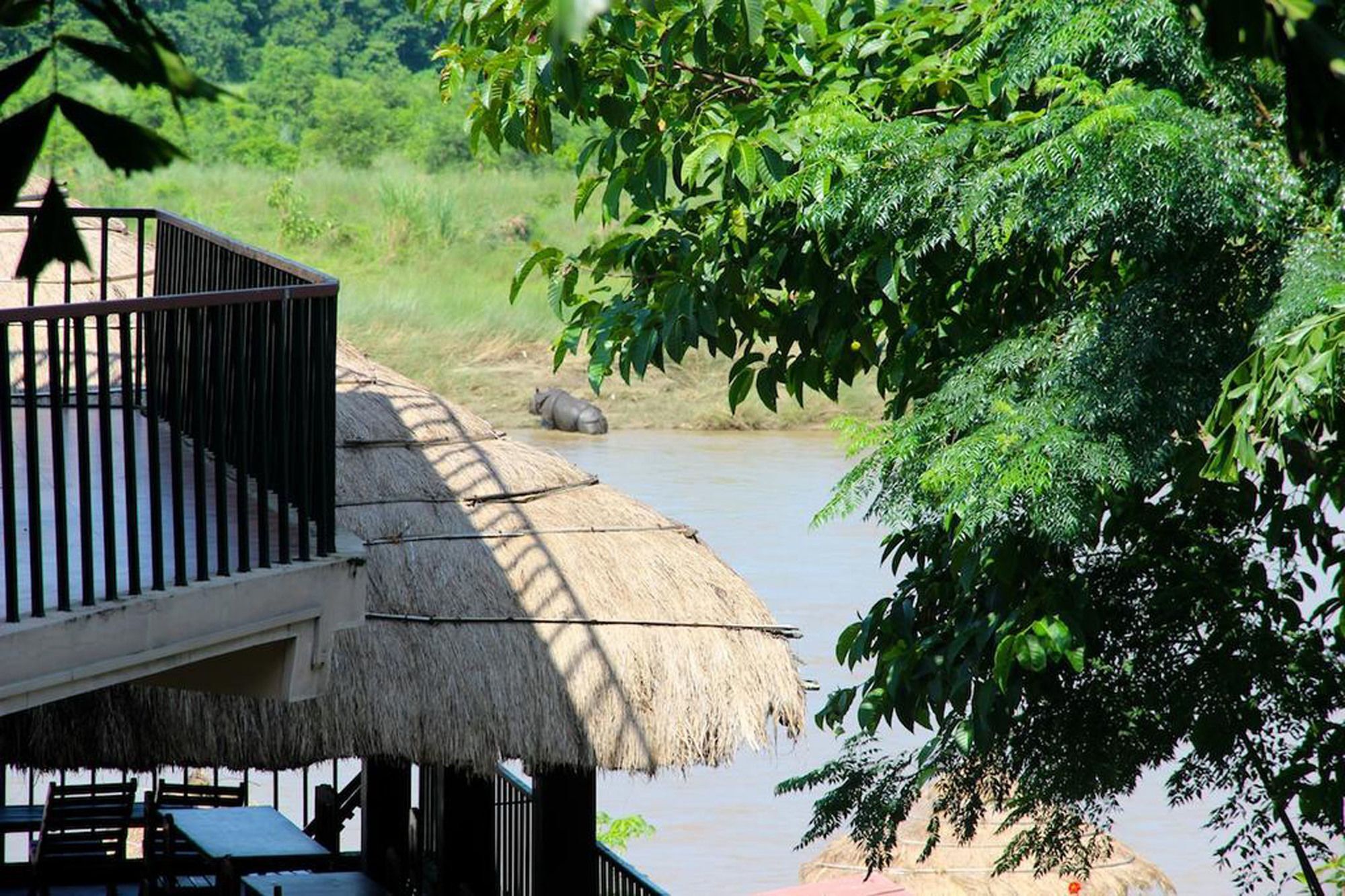 Jungle Sunset Camp Hotel Sauraha Exterior photo