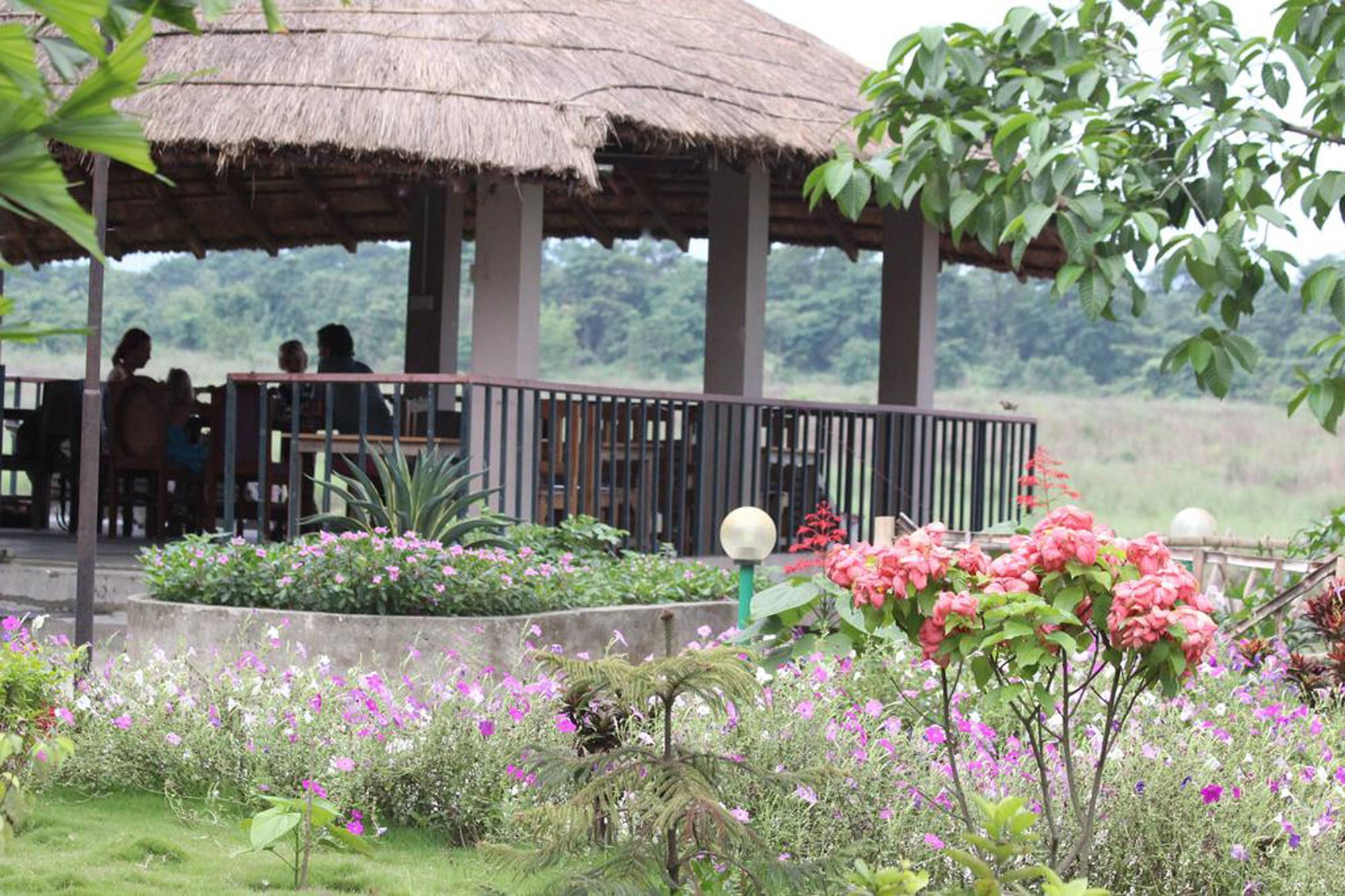 Jungle Sunset Camp Hotel Sauraha Exterior photo